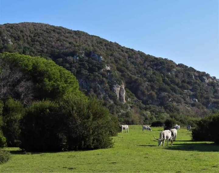 Hotel B&B Rispescia Grosseto Buitenkant foto