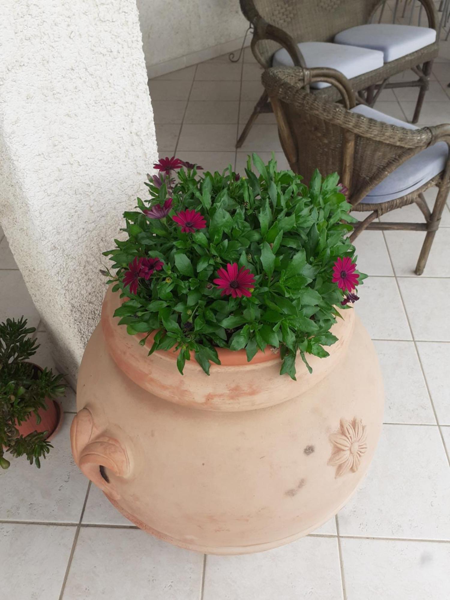 Hotel B&B Rispescia Grosseto Buitenkant foto