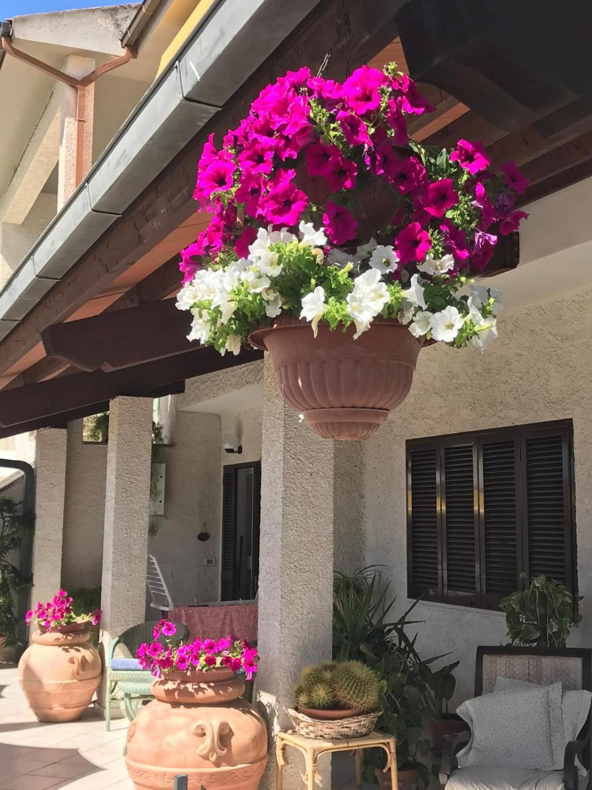 Hotel B&B Rispescia Grosseto Buitenkant foto