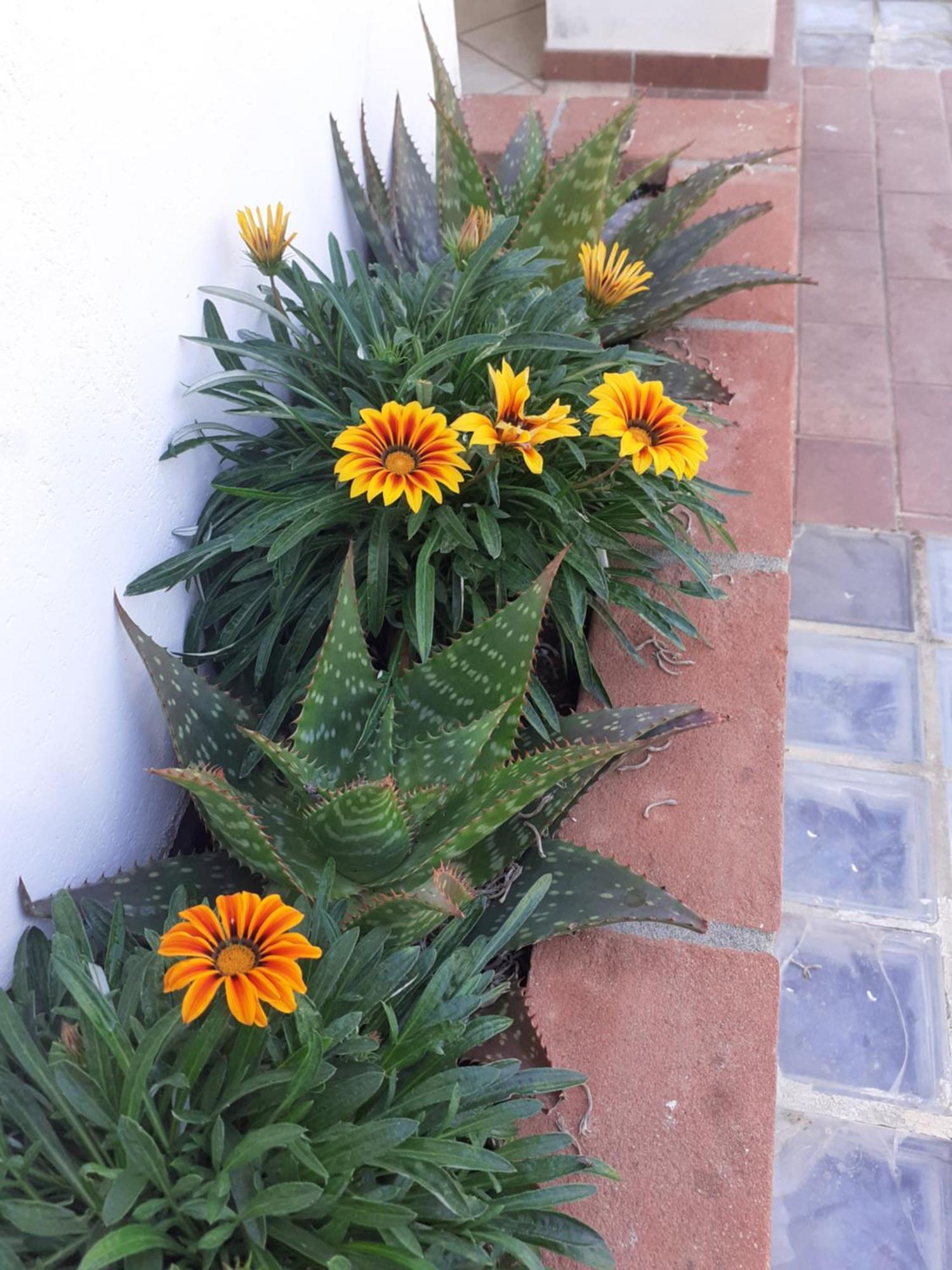 Hotel B&B Rispescia Grosseto Buitenkant foto