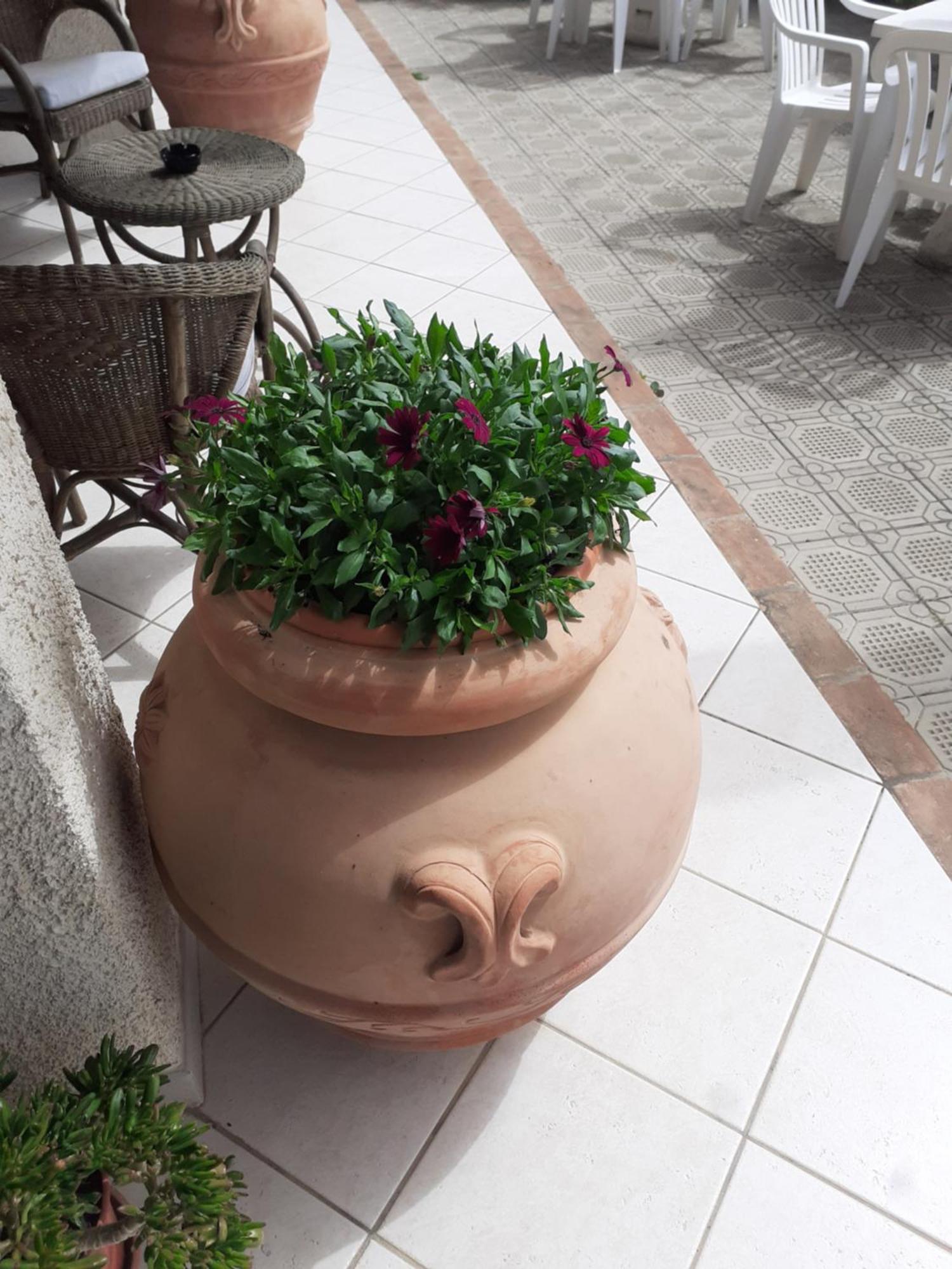 Hotel B&B Rispescia Grosseto Buitenkant foto