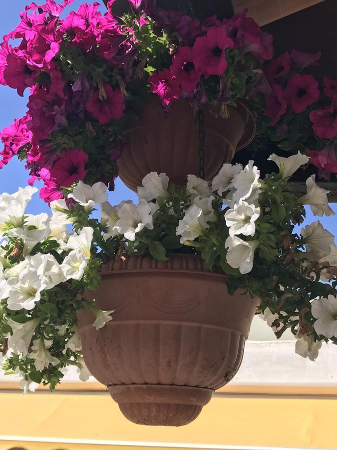 Hotel B&B Rispescia Grosseto Buitenkant foto