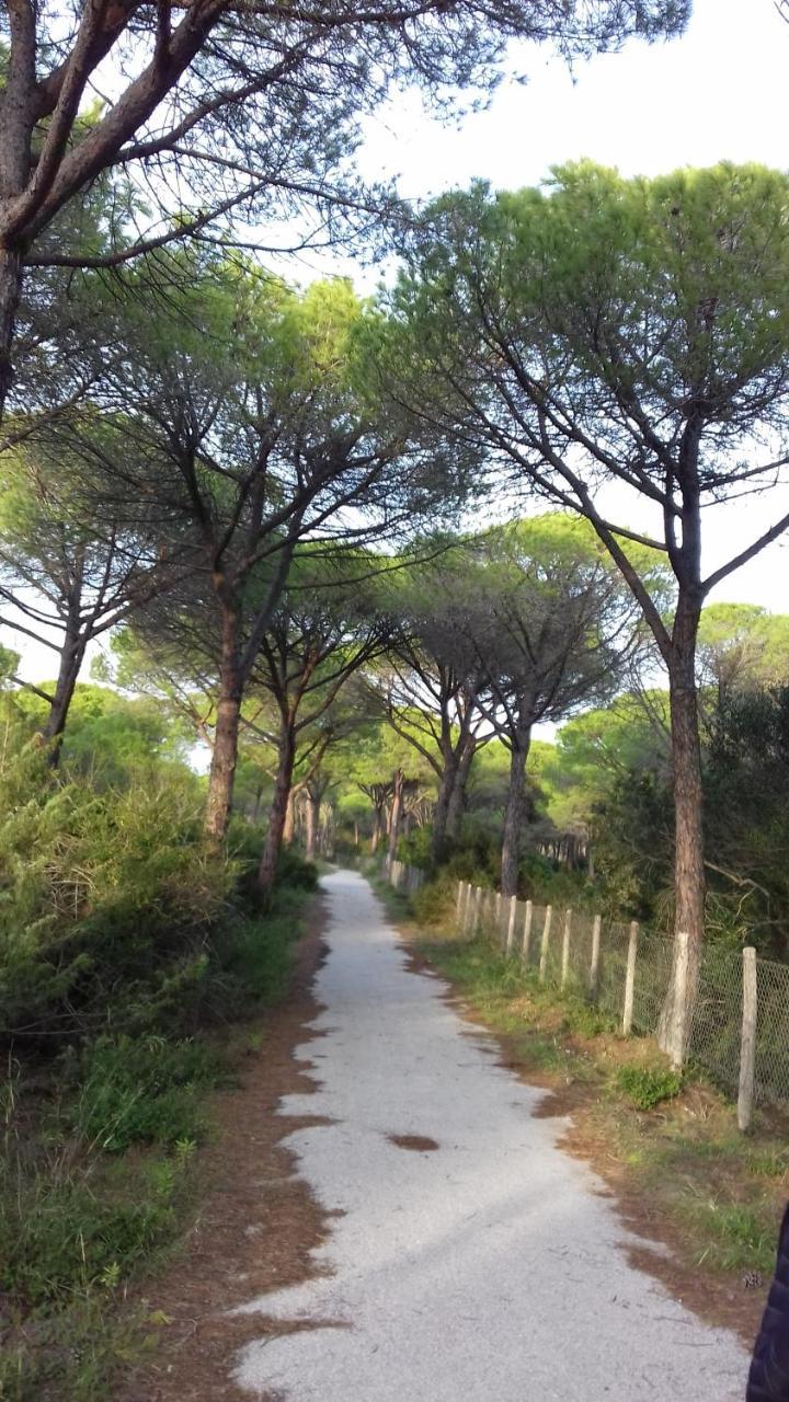 Hotel B&B Rispescia Grosseto Buitenkant foto